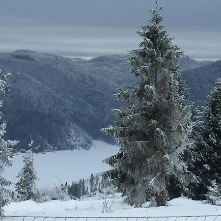 Casa vacanze Dovolenkovy Dom Carnica Mlynky